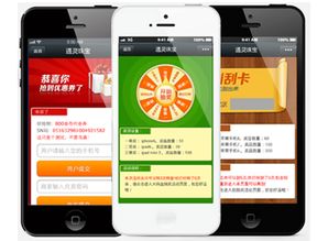 石家莊某科技公司涉嫌開發(fā)并銷售非法“轟炸群發(fā)”手機軟件被查處